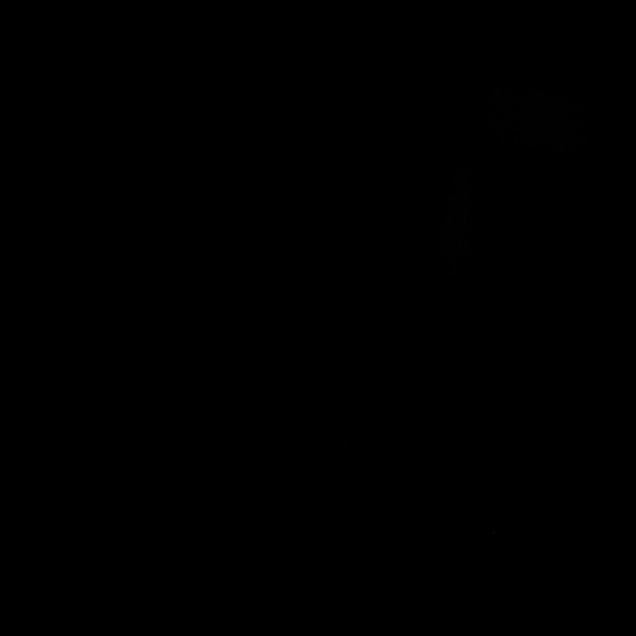 Necklace - Picture 2 of 4